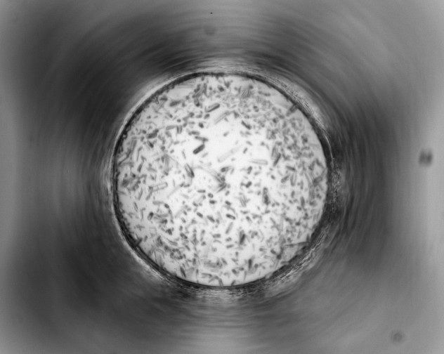 X0000103910855200810101306