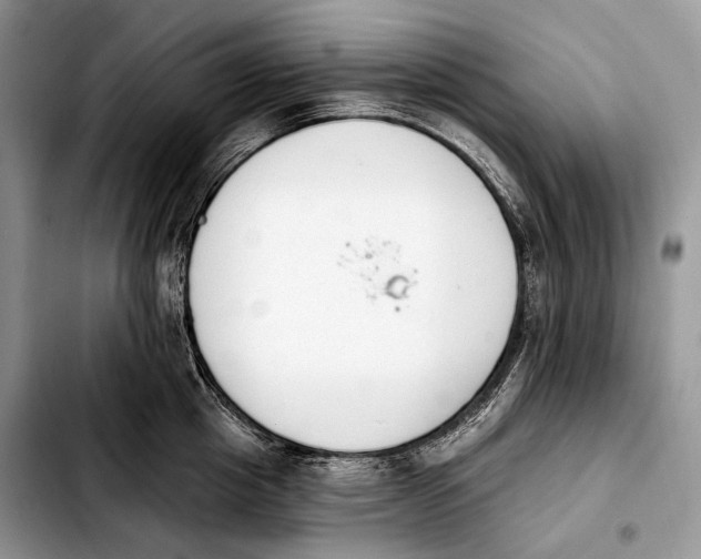 X0000103910857200810101306