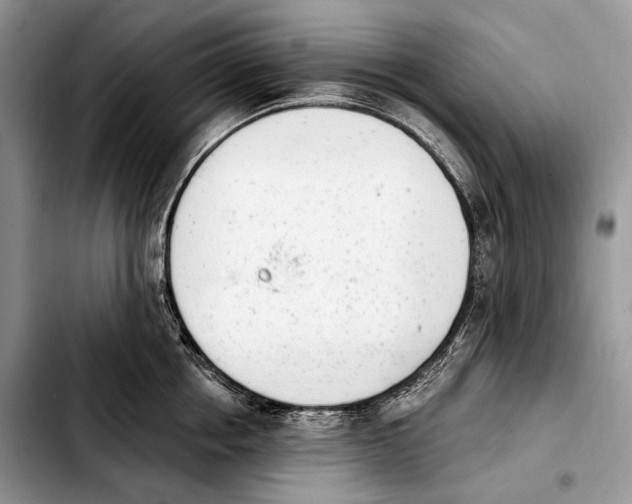X0000103910858200810101306