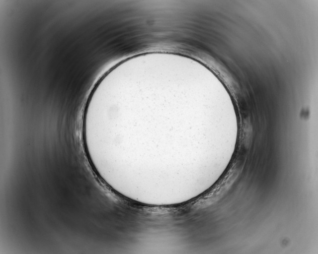 X0000103910862200810101306