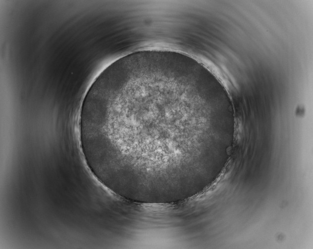 X0000103910863200810101306