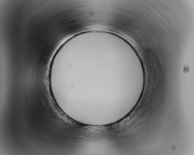 X0000103910864200810101306