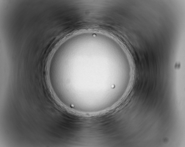 X0000103910865200810101306