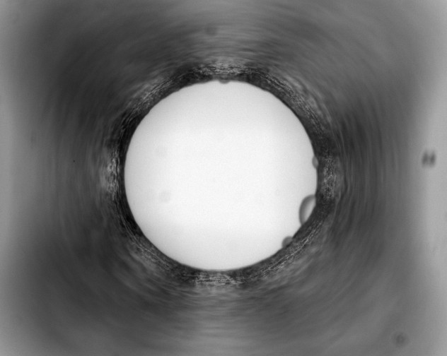 X0000103910866200810101306