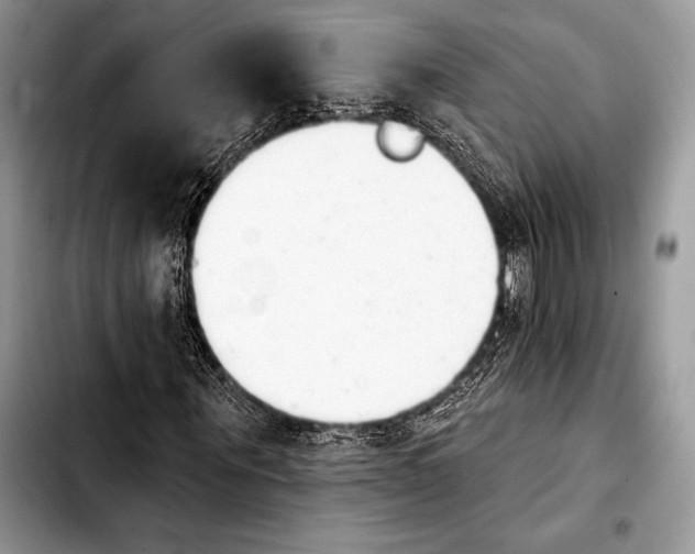 X0000103910867200810101306