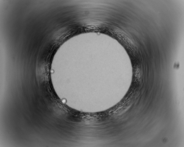 X0000103910868200810101306