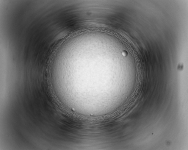 X0000103910869200810101306