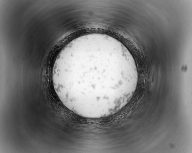 X0000103910870200810101306