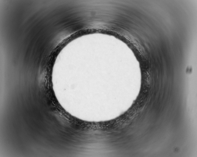 X0000103910872200810101306