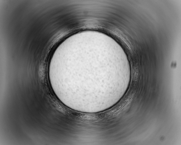 X0000103910874200810101306