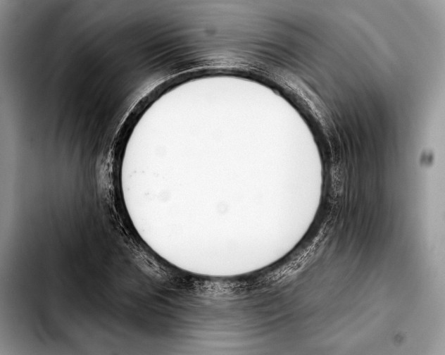 X0000103910875200810101306