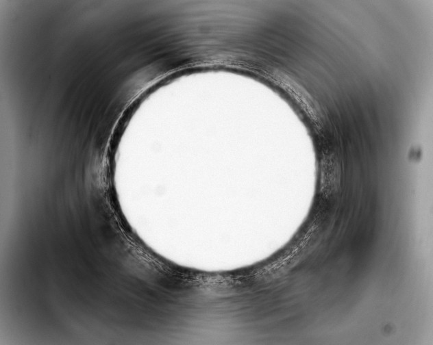 X0000103910876200810101305