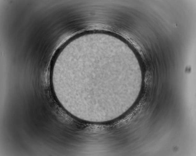 X0000103910877200810101305