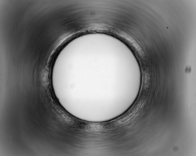 X0000103910878200810101305