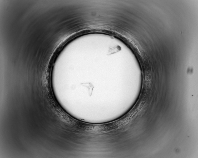 X0000103910879200810101305