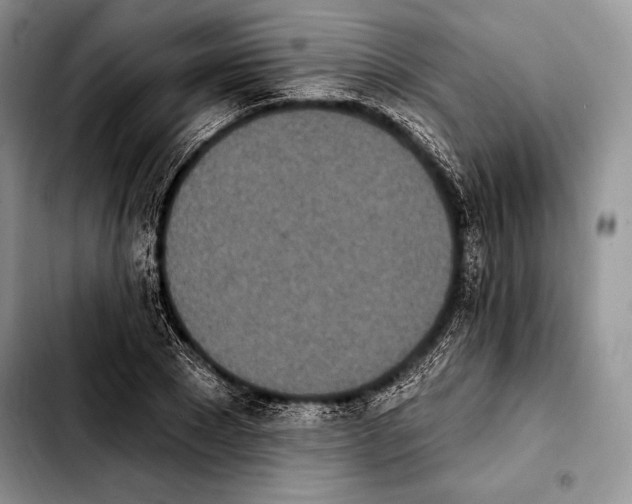 X0000103910881200810101305