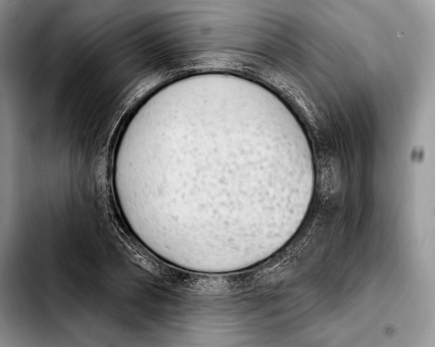 X0000103910882200810101305