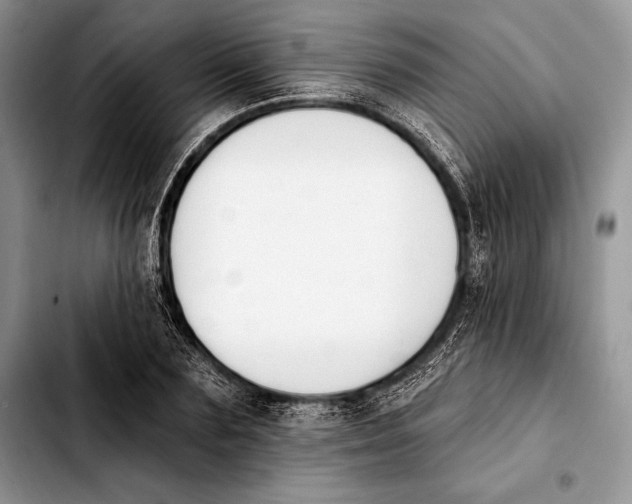 X0000103910883200810101305