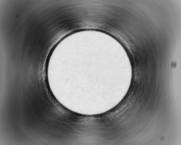 X0000103910885200810101305