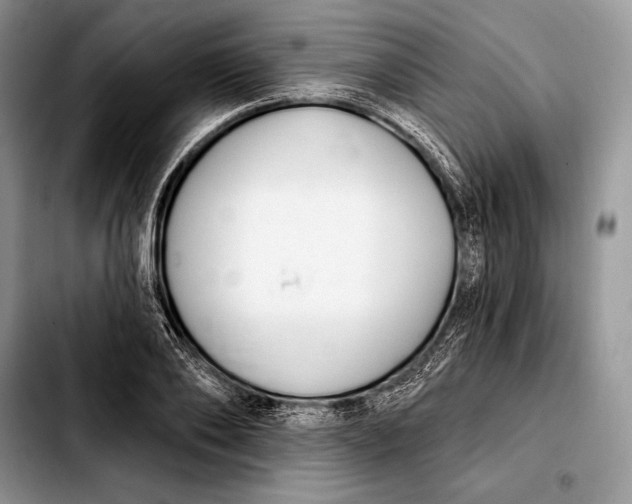 X0000103910886200810101305