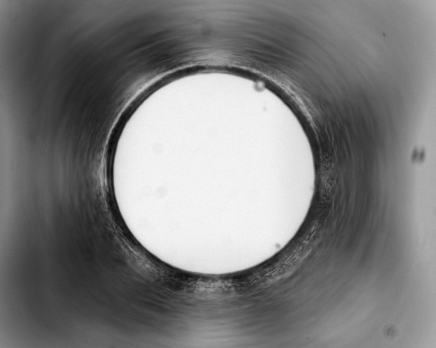 X0000103910887200810101305