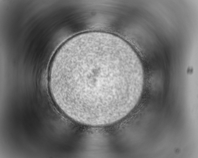 X0000103910888200810101305