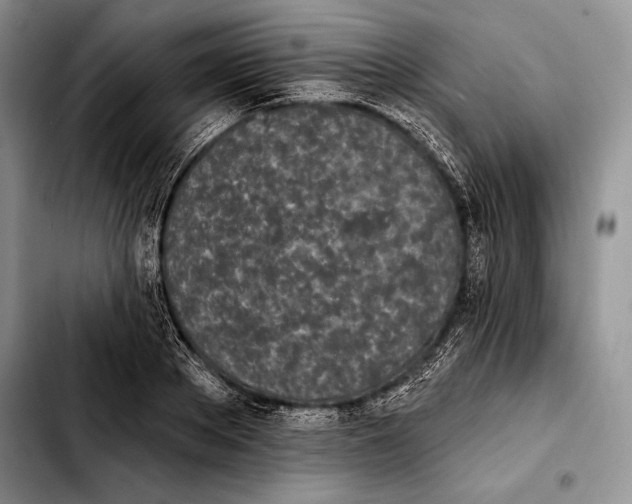X0000103910889200810101305