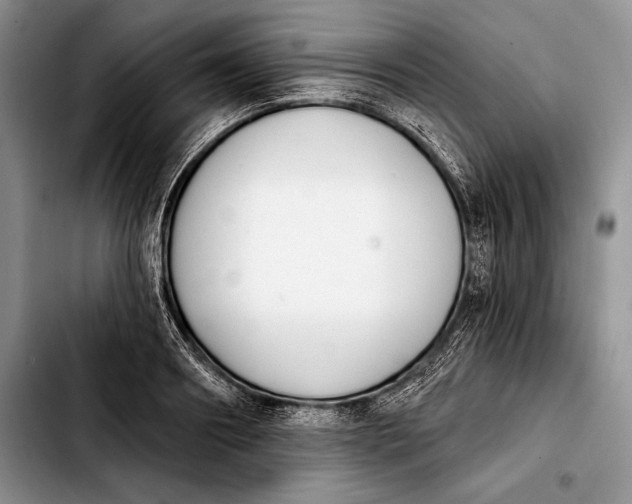 X0000103910890200810101305
