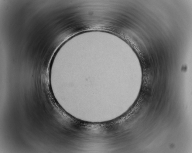 X0000103910892200810101305