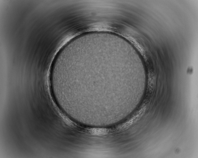 X0000103910893200810101305