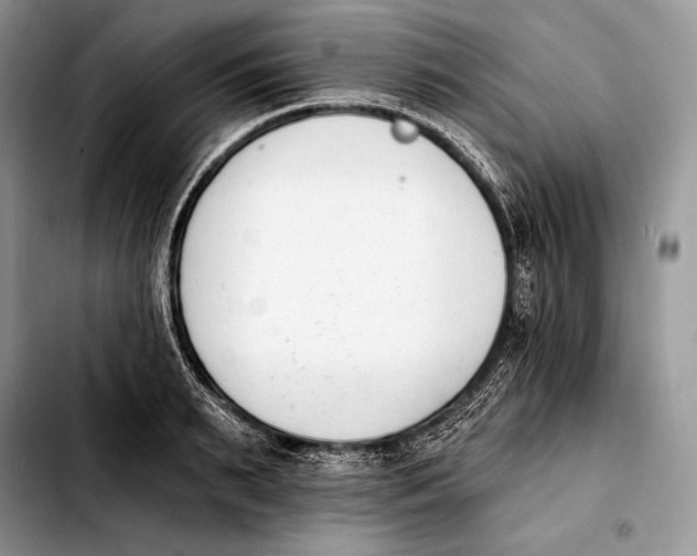 X0000103910895200810101305