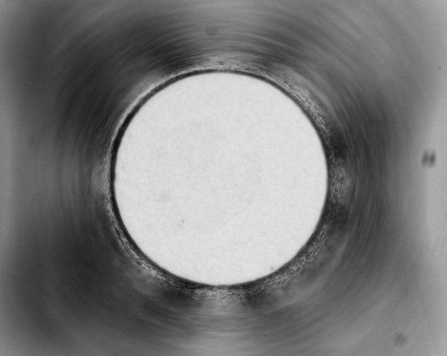 X0000103910896200810101305