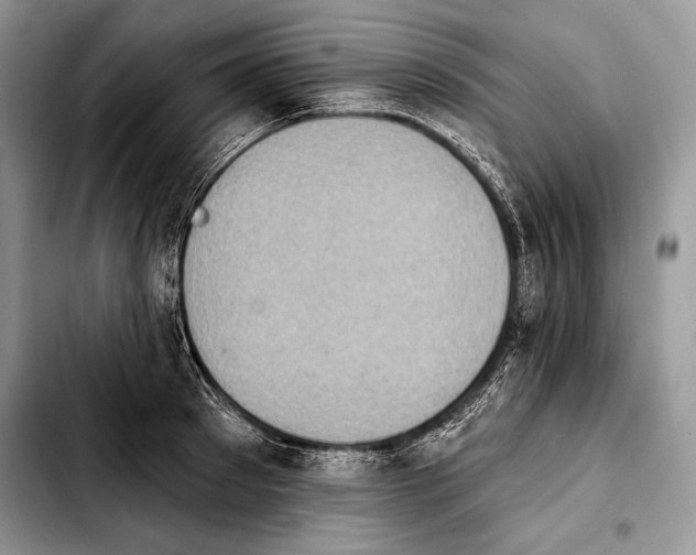 X0000103910897200810101305