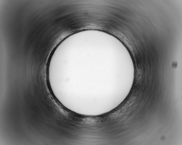 X0000103910898200810101305
