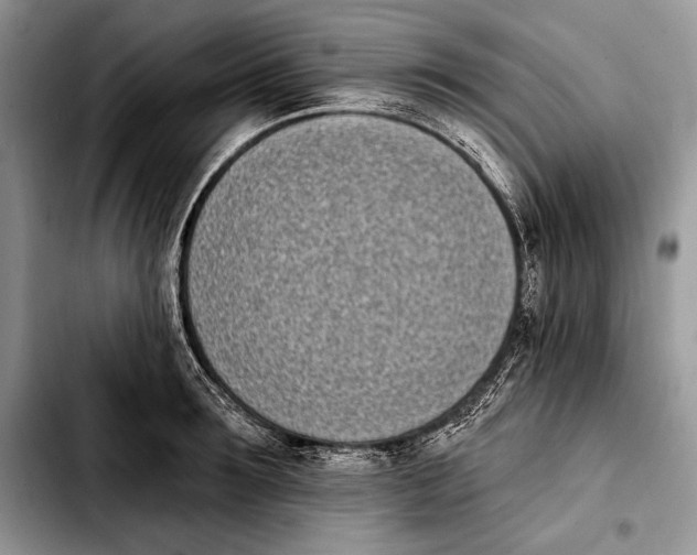 X0000103910899200810101305