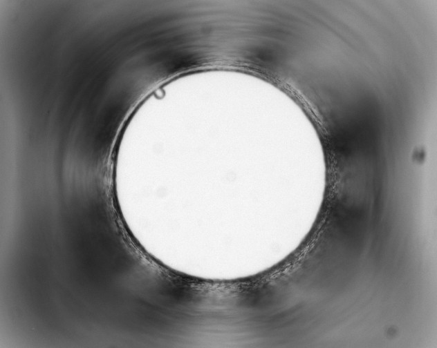 X0000103910900200810101305