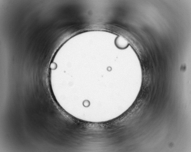 X0000103910901200810101305