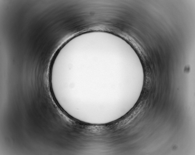 X0000103910902200810101305