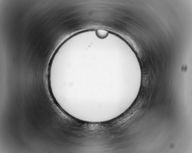 X0000103910903200810101305