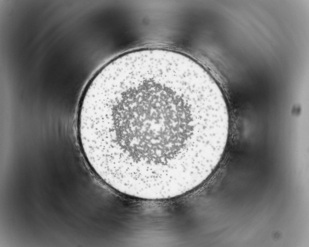 X0000103910904200810101305