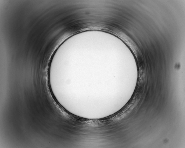 X0000103910906200810101305