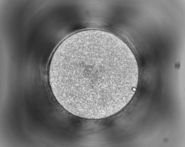 X0000103910908200810101305