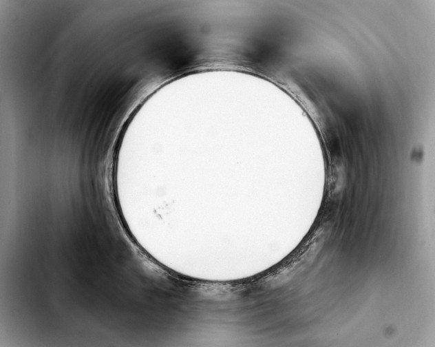 X0000103910909200810101305