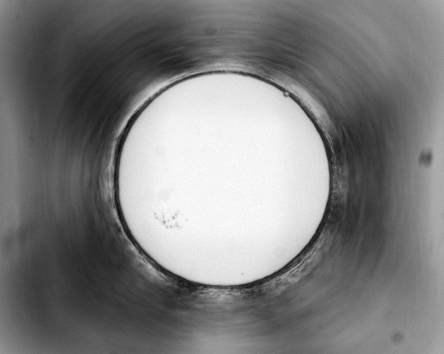 X0000103910910200810101305