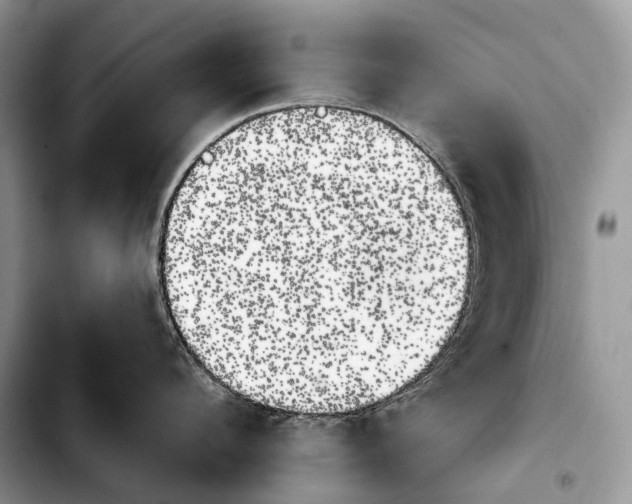 X0000103910912200810101305