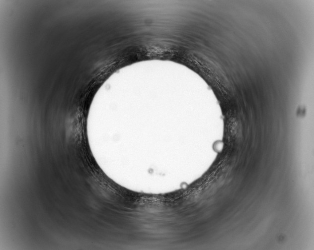 X0000103910914200810101304