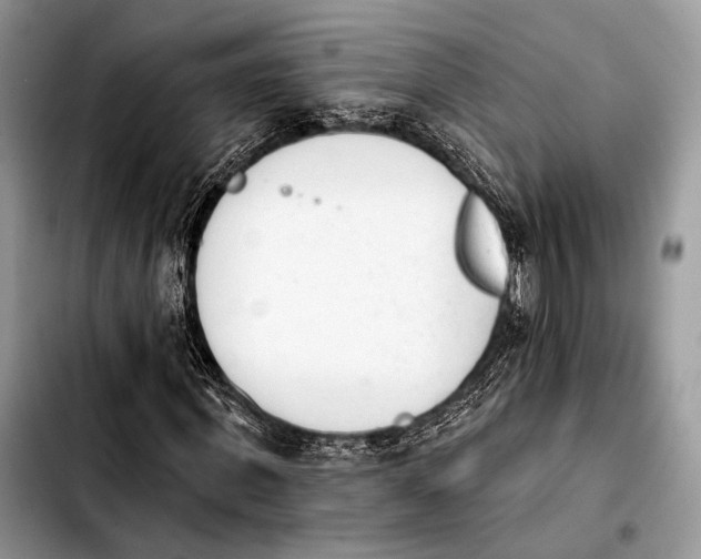 X0000103910915200810101304