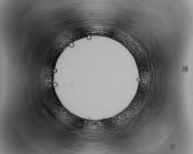 X0000103910916200810101304