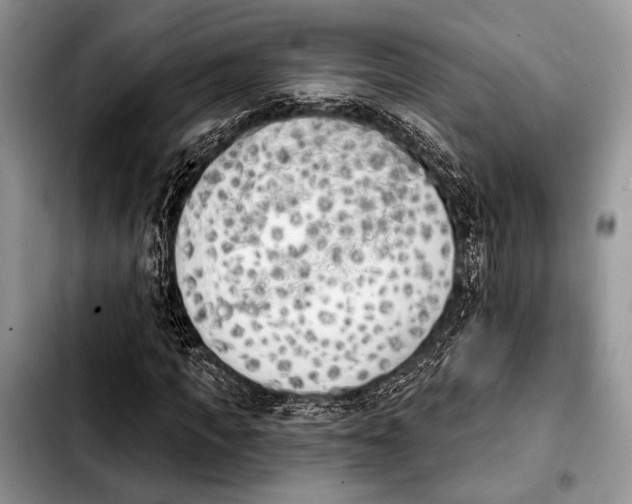 X0000103910917200810101304