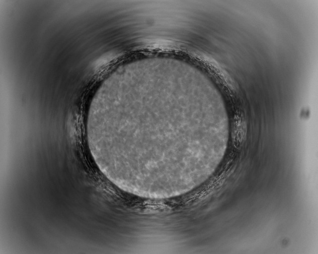 X0000103910918200810101304